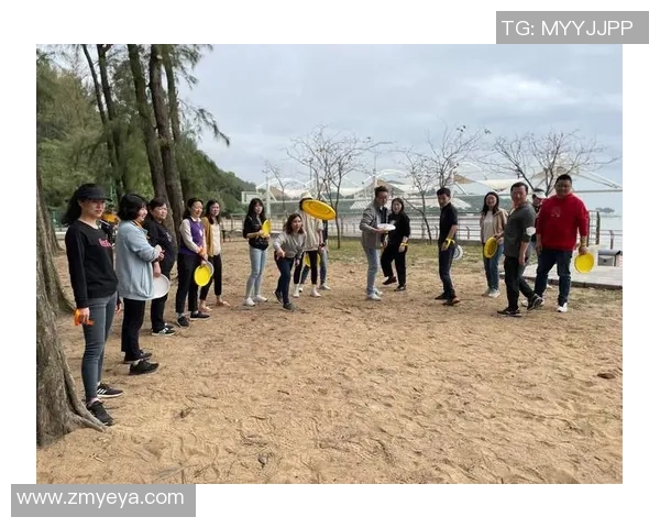 飞盘团队协作的魅力与挑战：上海飞盘队的成功经验分享与启示